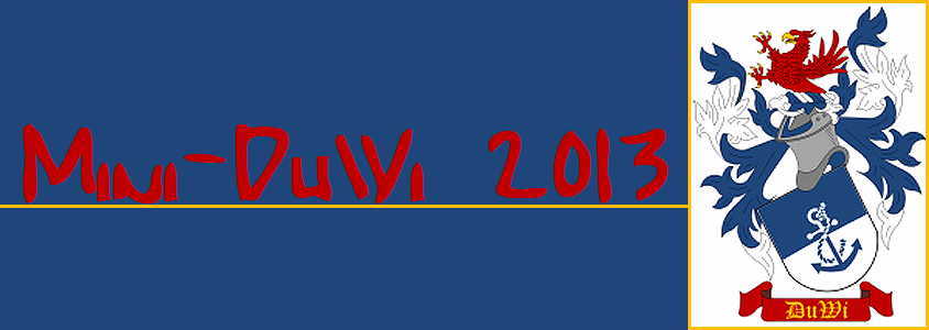 Mini-DuWi 2013